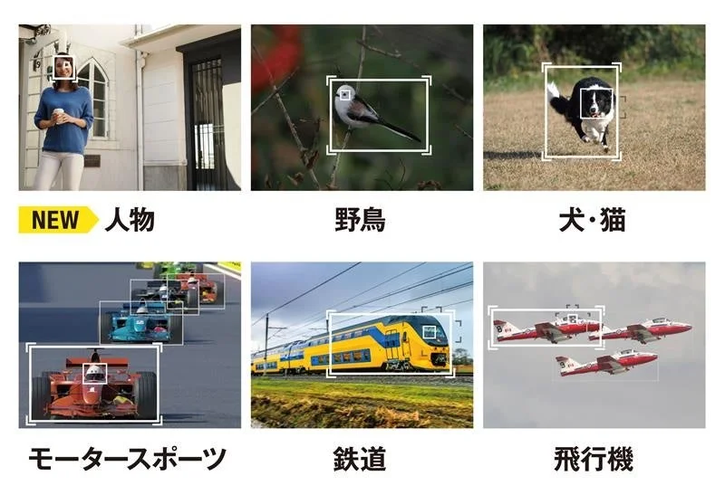 AI被写体認識AFの対象