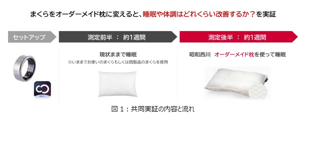 共同実証の内容と流れ