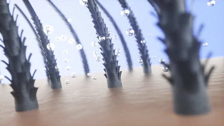 髪の毛と水滴の拡大