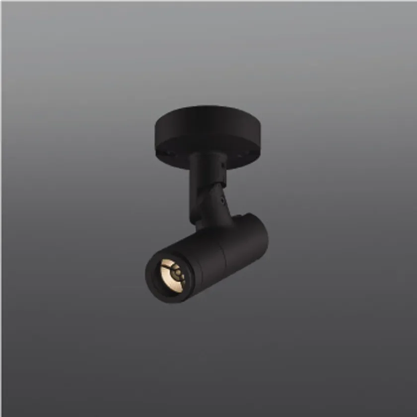 eX-Pro フランジタイプ S(サテンブラック色)