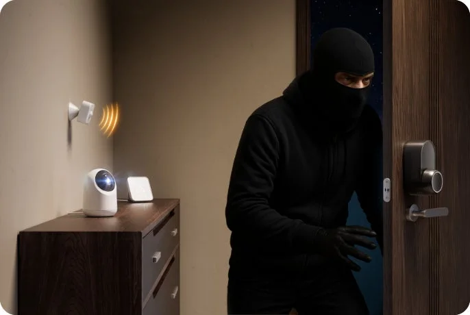 侵入者が写る防犯カメラの映像