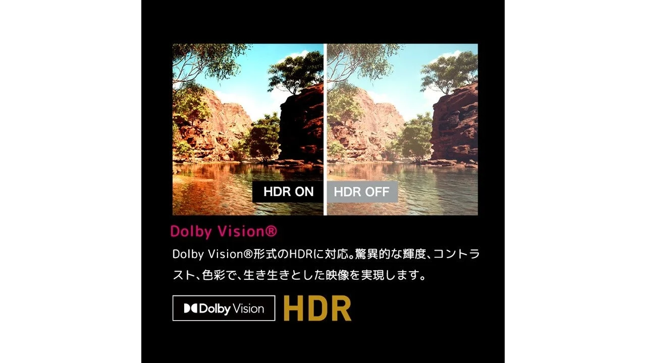 臨場感あふれる映像