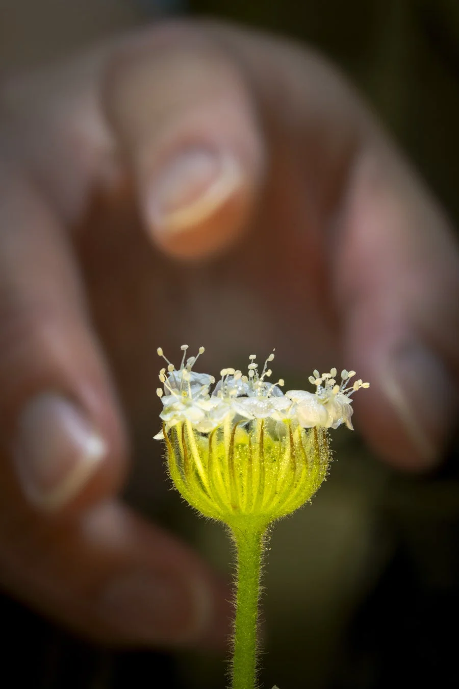 ポートレート撮影例