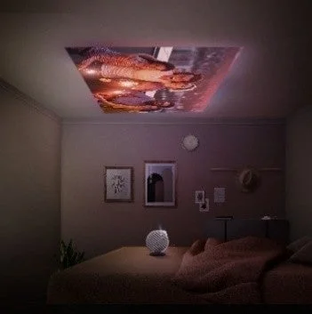 寝室の天井に投影された映像