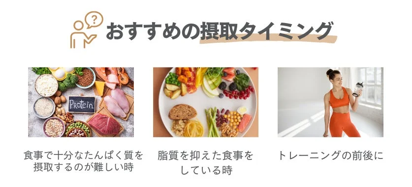 効率的なタンパク質摂取