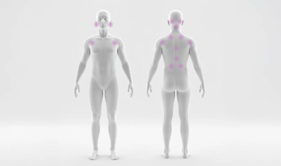 ティングルが生まれる場所