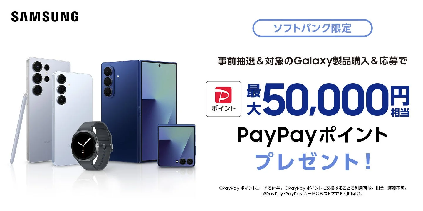 PayPayポイントキャンペーン