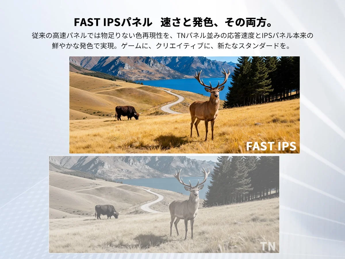 FAST IPSパネル 速さと発色、その両方