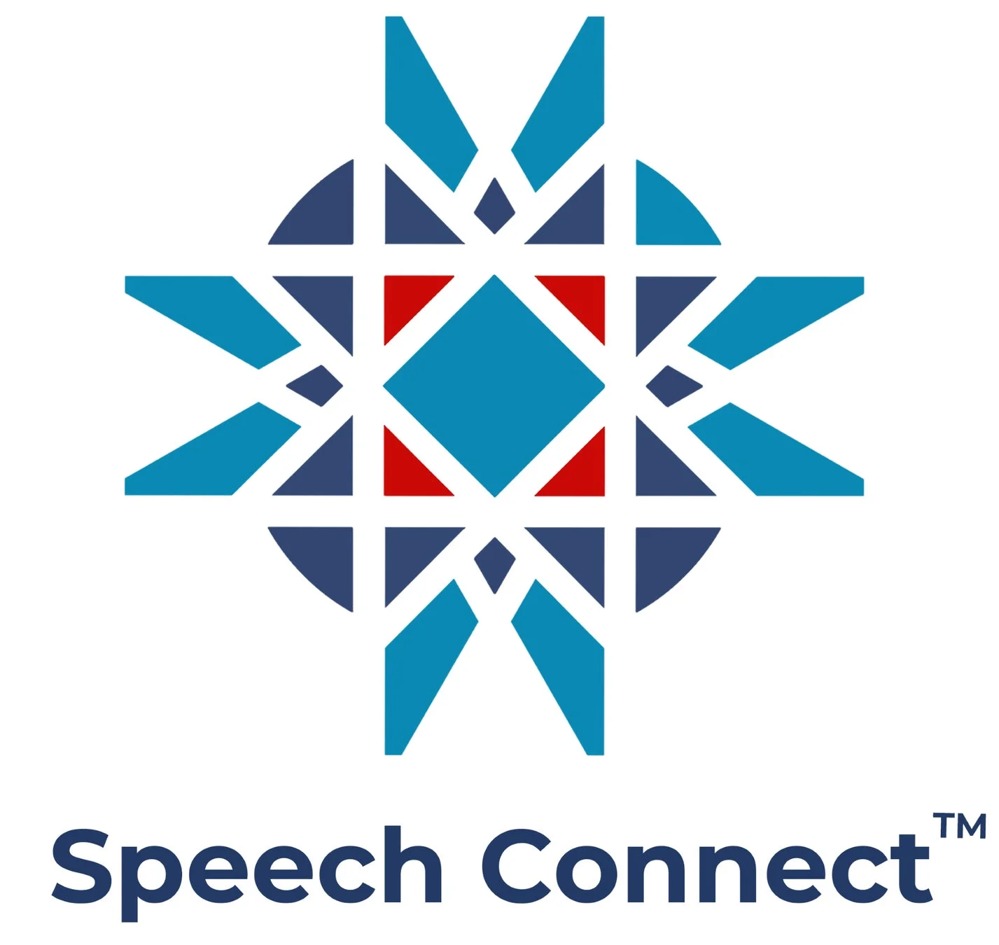 「Speech Connect™」という文字と、青、濃い青、赤色の幾何学的な星形または羅針盤のようなデザインが組み合わされたロゴ画像です。