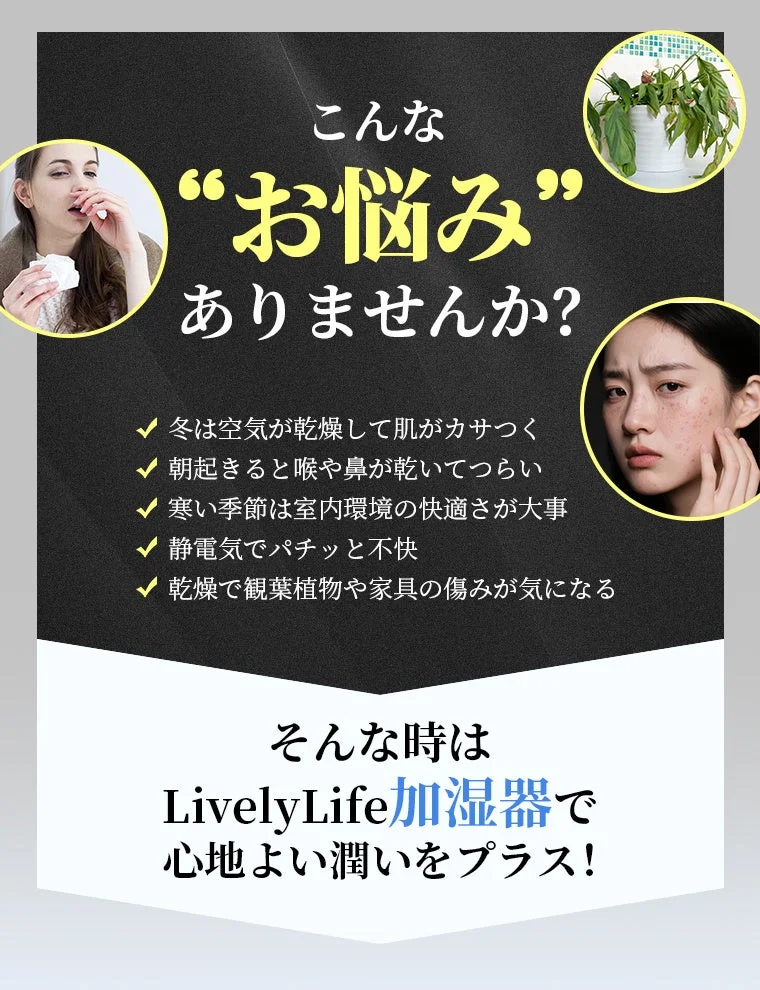 冬の乾燥による肌荒れ、喉・鼻の不快感、静電気、観葉植物や家具の傷みといった「お悩み」に対し、LivelyLife加湿器が心地よい潤いを提供し、室内環境を快適にする解決策であることを訴求する広告画像です。