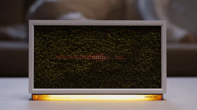 スピーカー内部構造