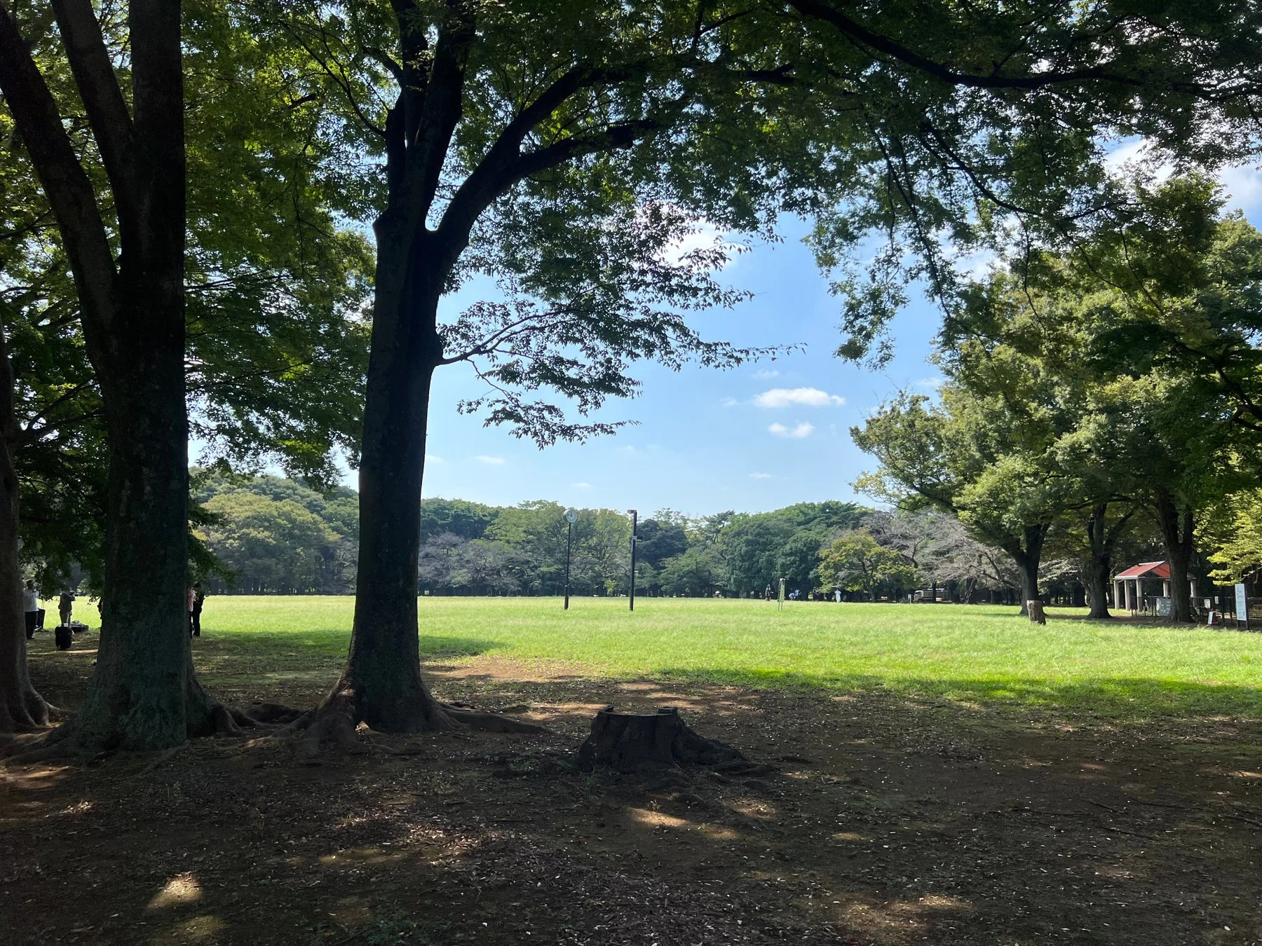 クリップ構造説明