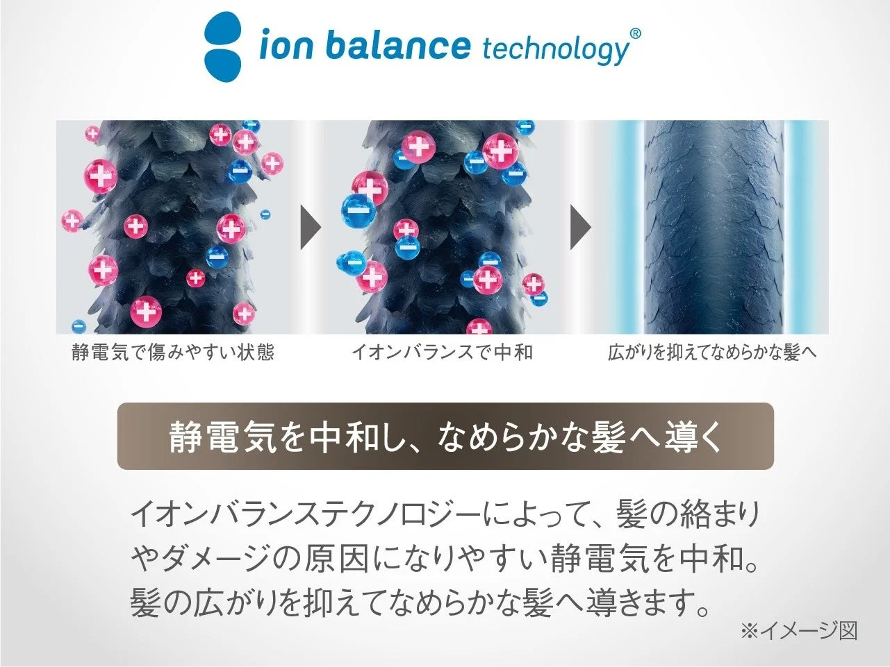 静電気を中和し、なめらかな髪へ導くイオンバランステクノロジー