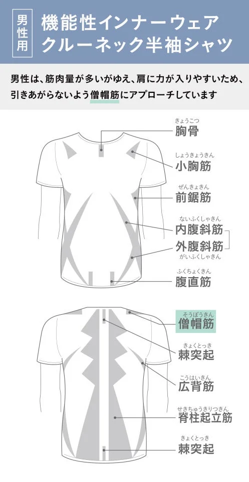 デリットテック 機能性インナーウェア 筋肉サポート図
