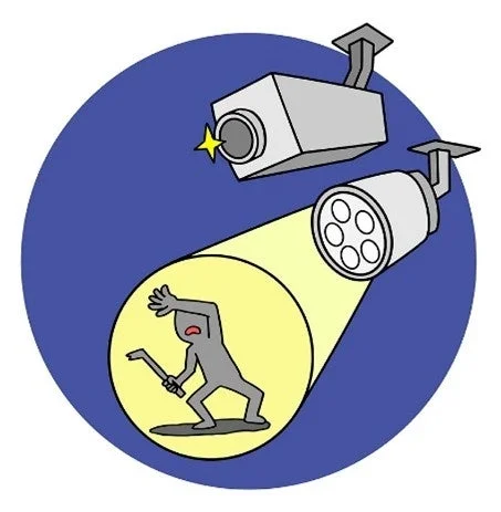 夜間、防犯カメラとスポットライトによって泥棒が発見され、驚いている様子