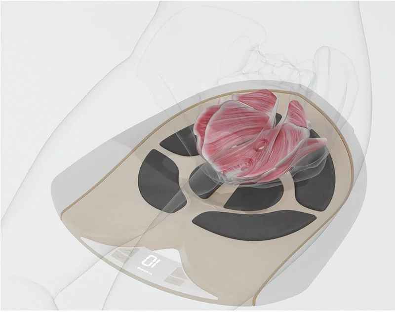 骨盤底筋へのEMSアプローチイメージ