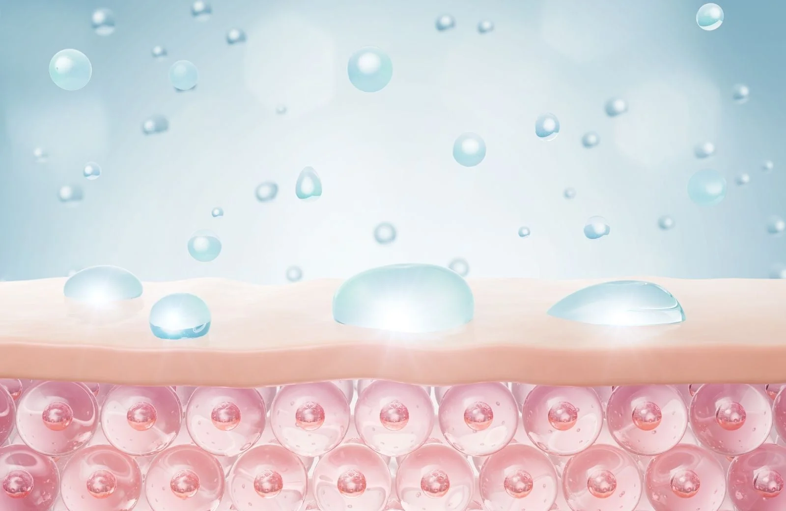 肌の水分イメージ