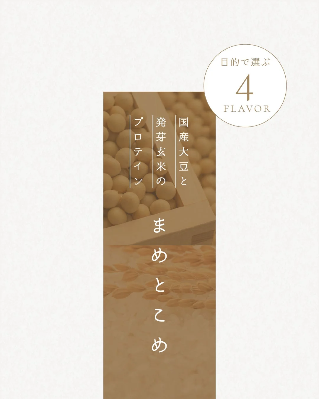 現代女性に寄り添う新発想プロテイン「まめとこめ」1月8日販売開始!“鍛える”から“整える”へ