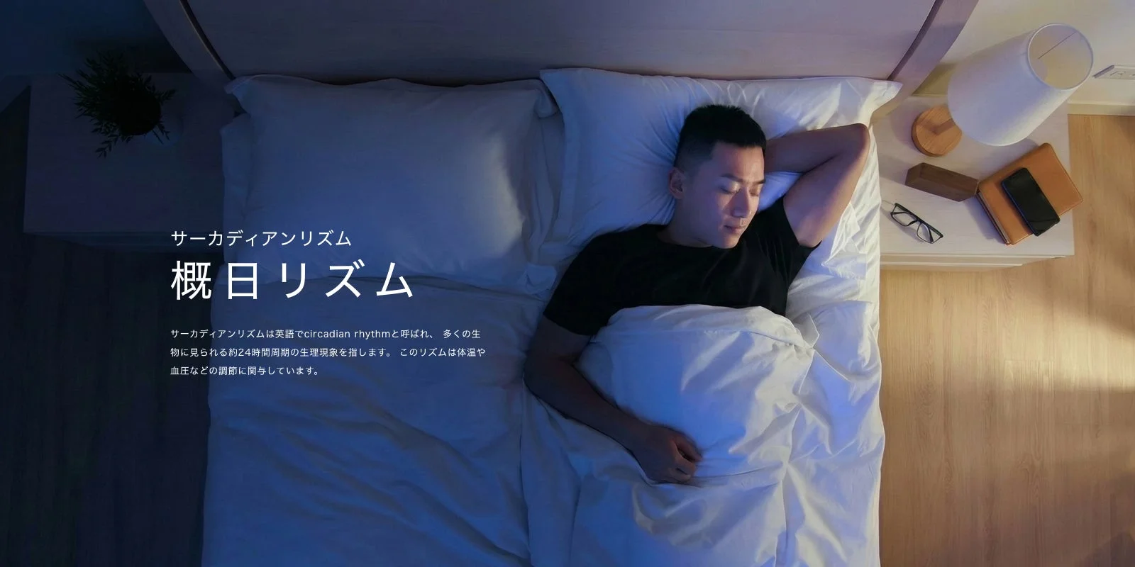ベッドで眠る男性とサーカディアンリズムの説明