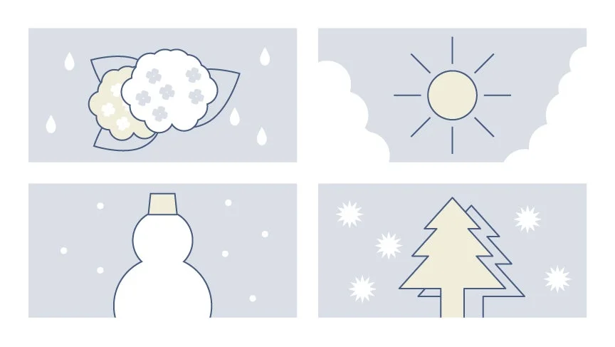 年中使えるマルチ家電