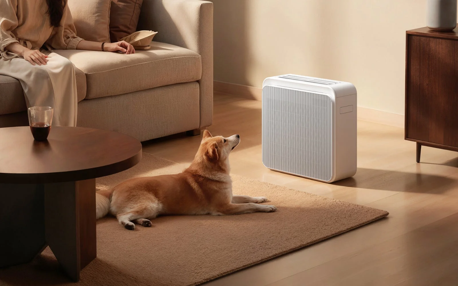 Apolnus One Xと犬がいるリビング