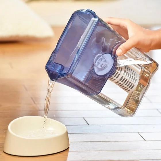 手が青い浄水器付きの水差しから、床に置かれた白いペット用ボウルに水を注いでいる様子