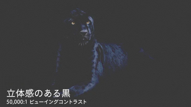 立体感のある黒ヒョウ