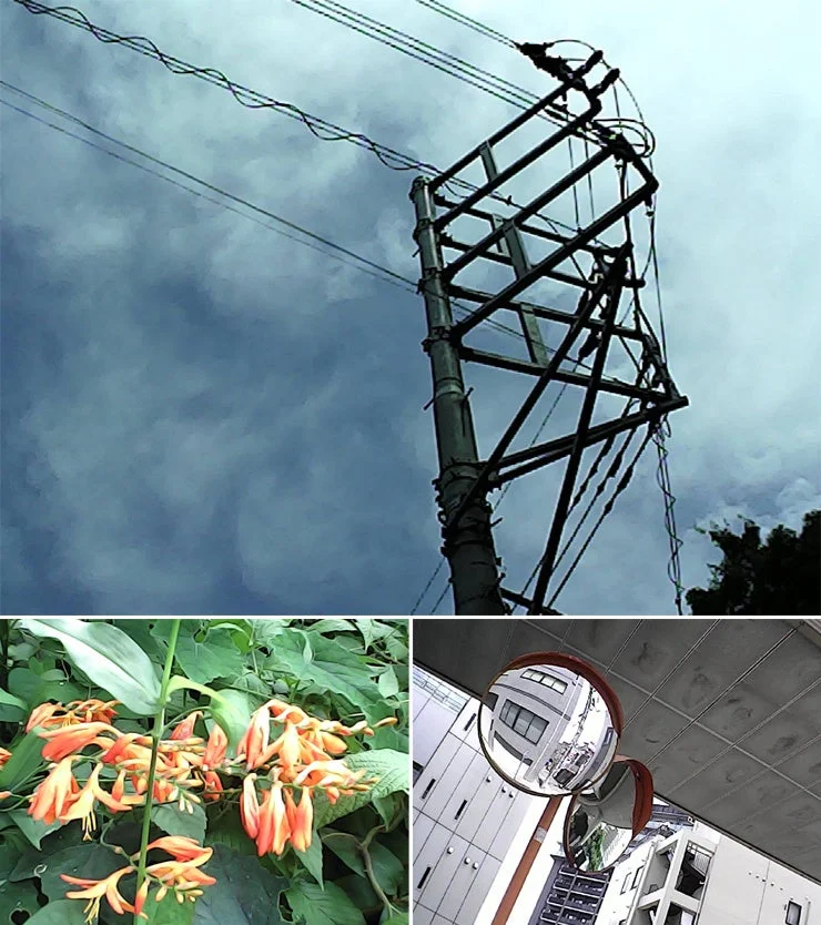 retroCUBEで撮影したレトロな写真の例