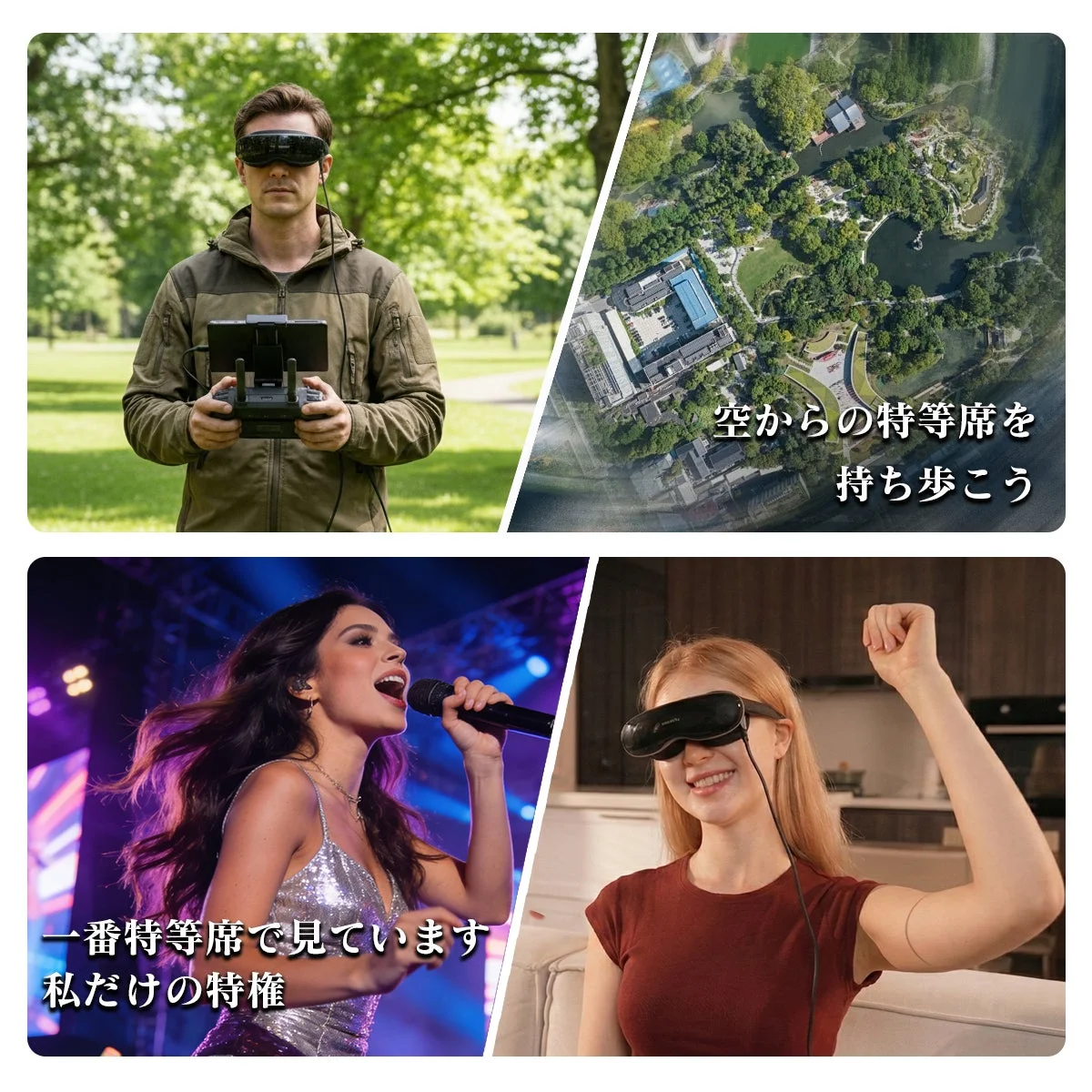 空からの特等席