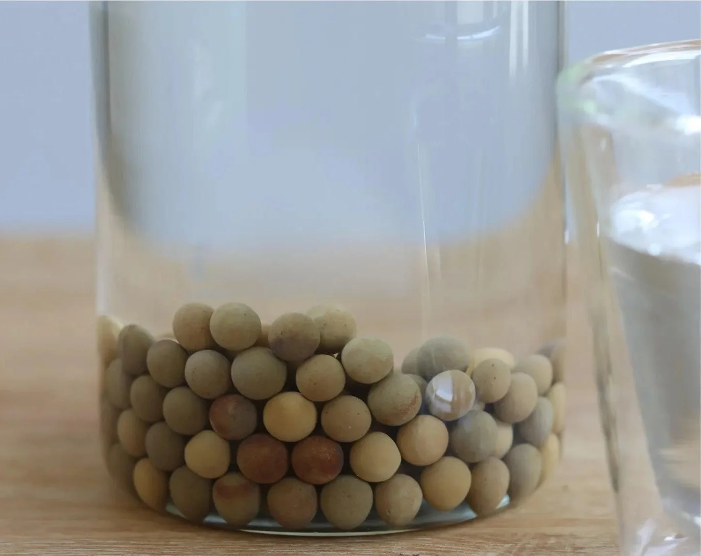 透明なガラス瓶の底に、たくさんの丸い大豆のような豆が敷き詰められている様子