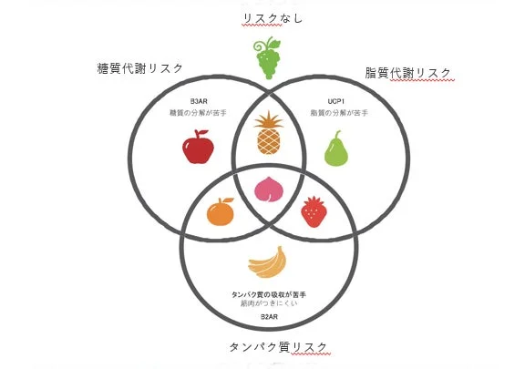糖質、脂質、タンパク質の3つの代謝リスクに関して、遺伝子タイプと関連する体質、そしてそれぞれのリスクに関連するフルーツをベン図で示した図
