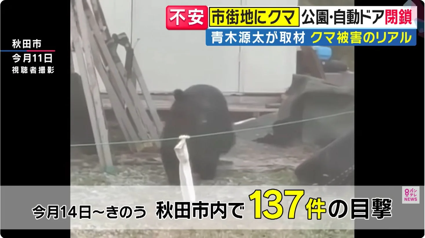 「もしも」の不安を「安心」に変える!HikvisionのAIクマ検知ソリューションで暮らしを守ろう