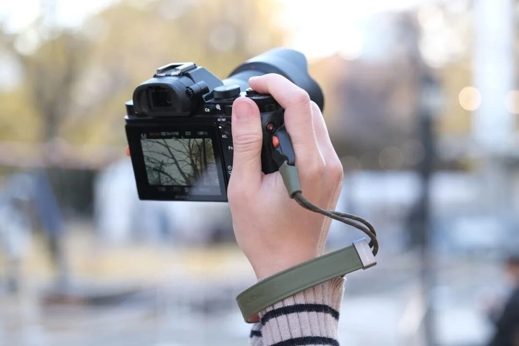 カメラの液晶画面に木々が映っている様子
