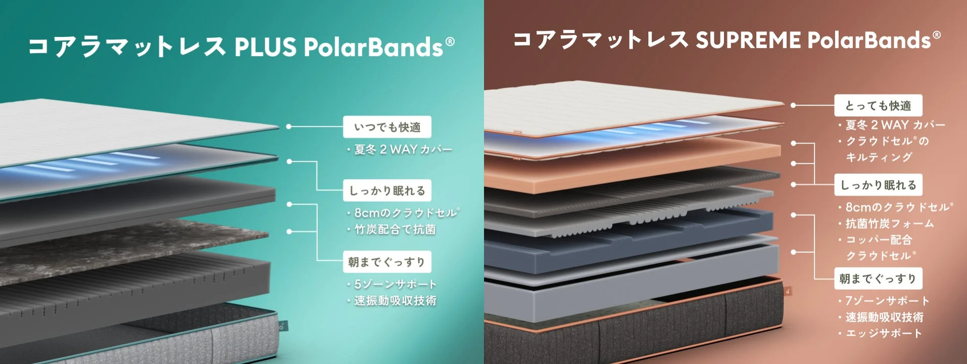 日本の四季に寄り添う快適な眠りへ！「コアラマットレス PLUS PolarBands®」「コアラマットレス SUPREME PolarBands®」新登場