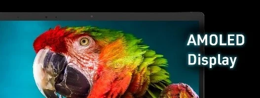 AMOLEDディスプレイで表示されるカラフルなオウム