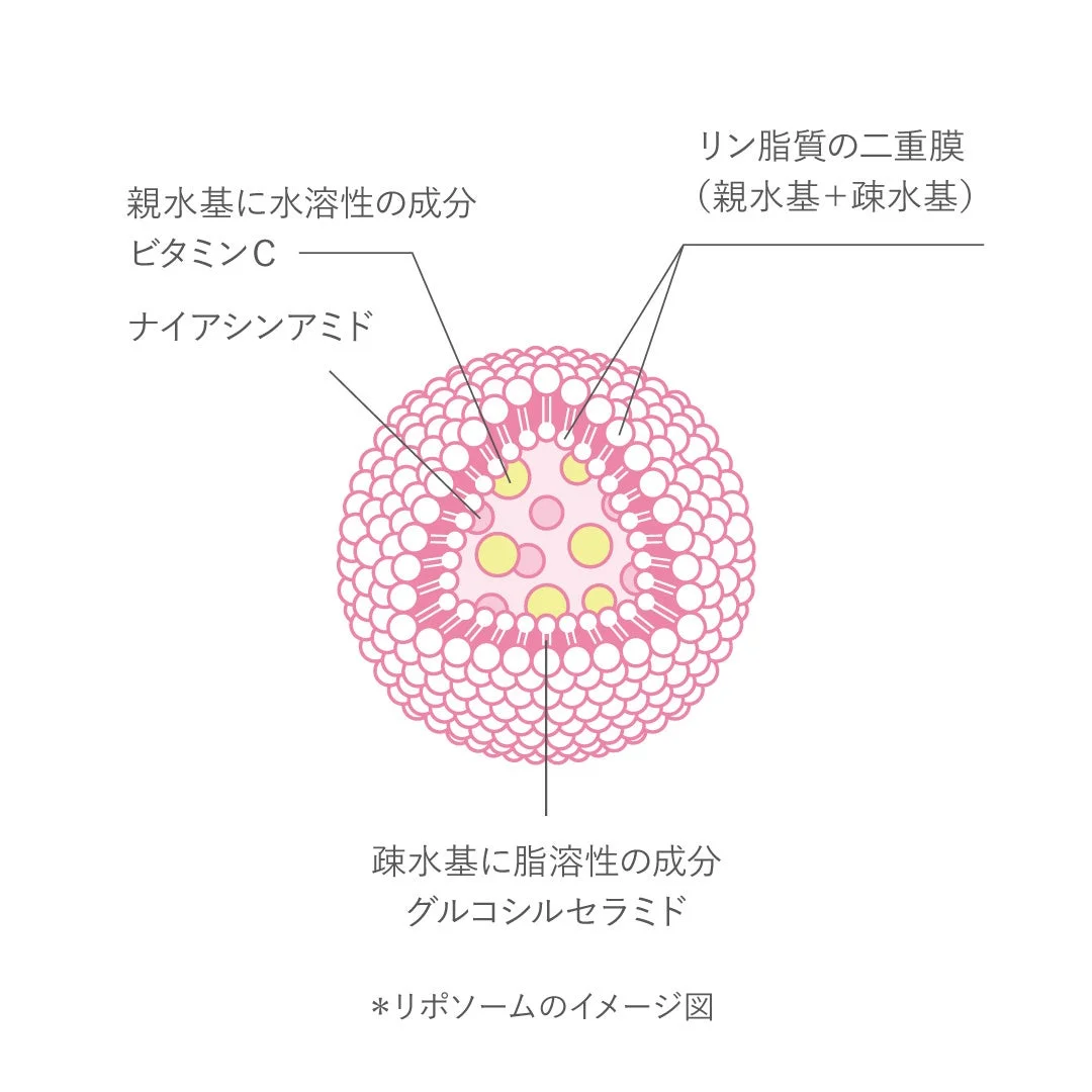 リポソームのイメージ図