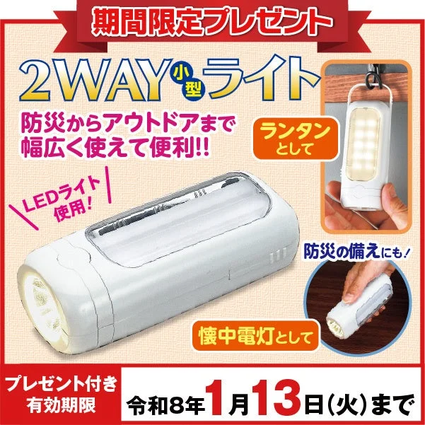 2WAY小型ライトのプレゼント