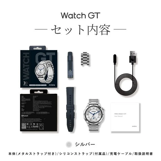 Mibro Watch GT シルバーセット内容
