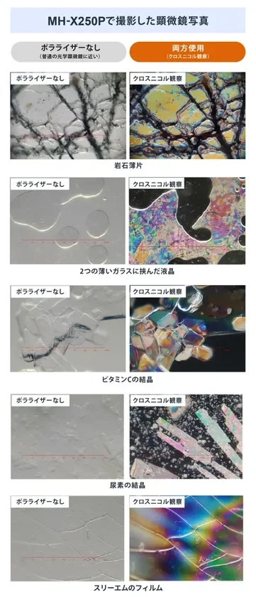 2種類の観察方法による観察例