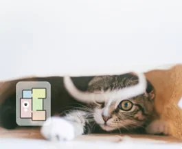 何か物の下から顔を覗かせているタビー柄の子猫の画像です。