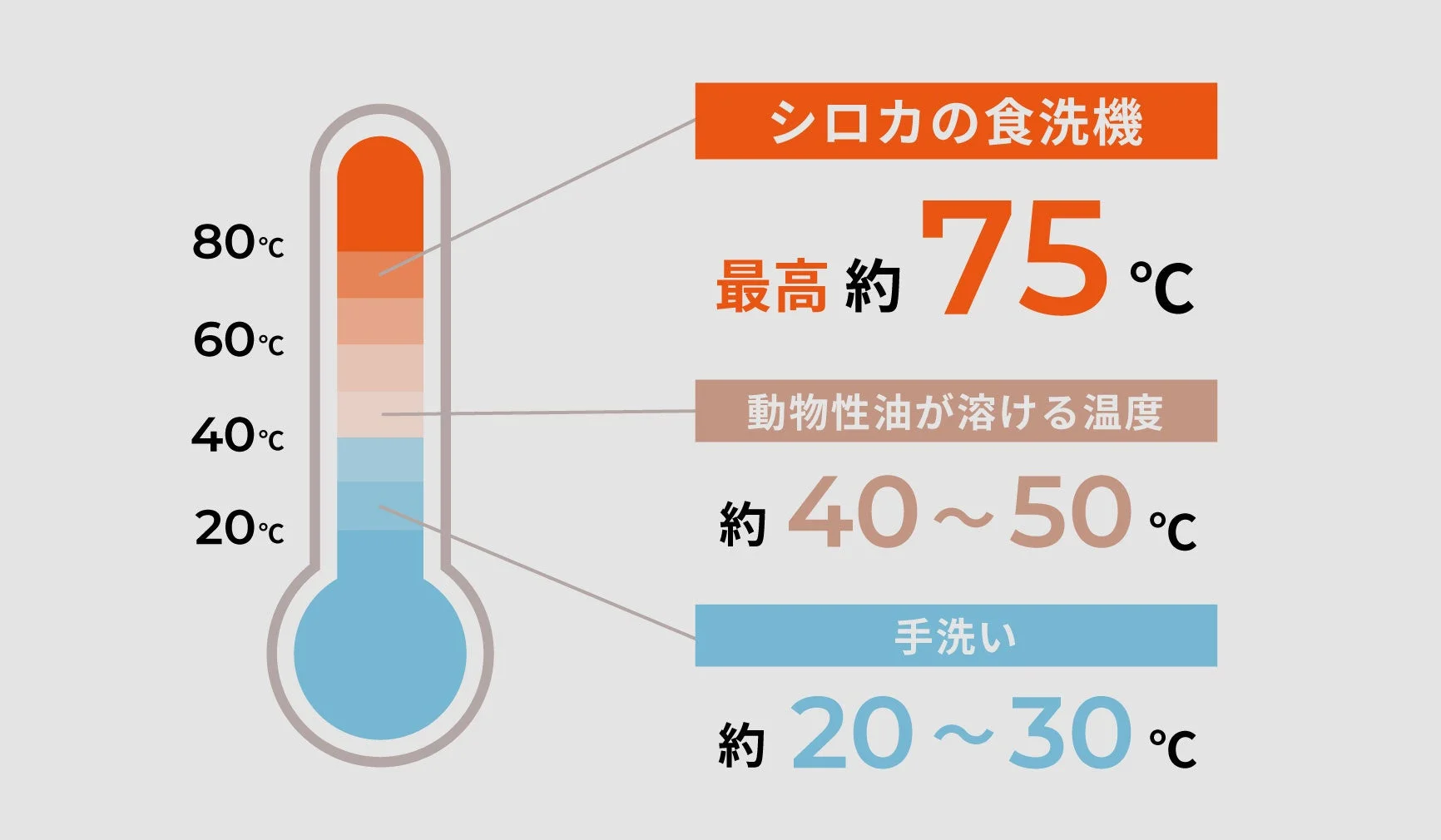 うずマックス洗浄の温度比較