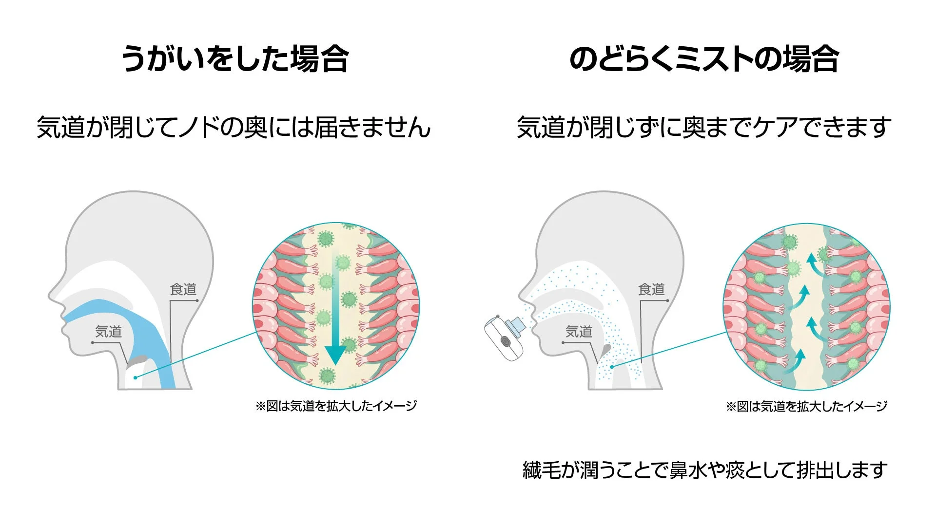 うがいとのどらくミストの比較図