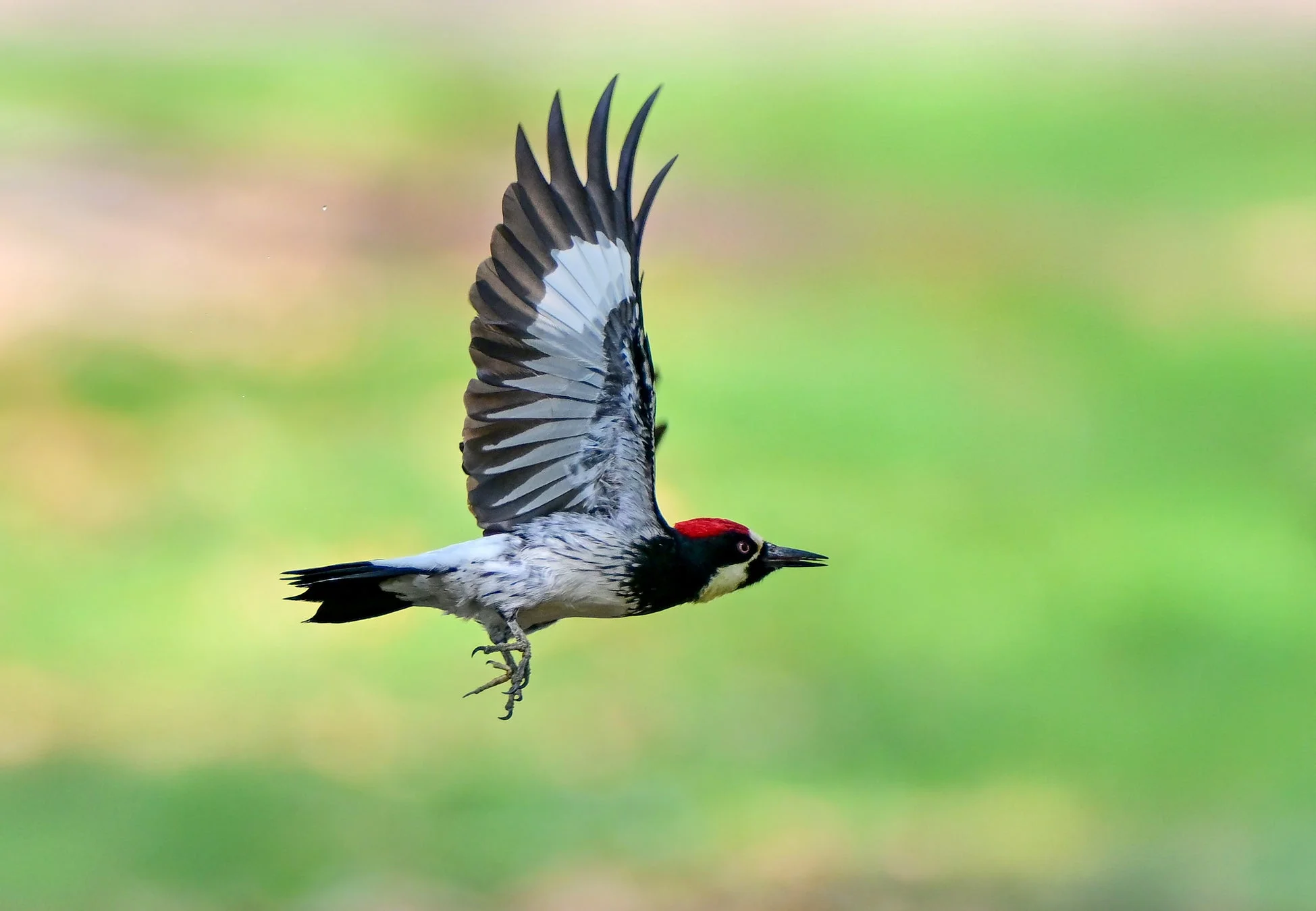 高精度オートフォーカス