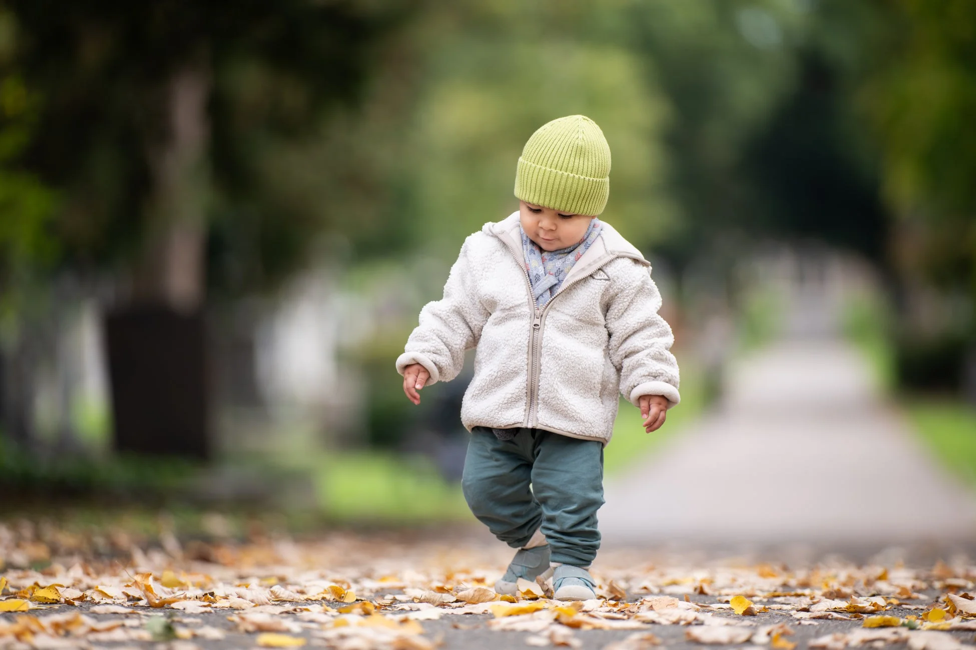 強力な圧縮効果