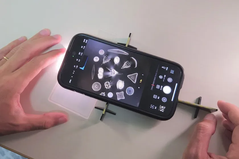 放散虫(MH-X250Pで観察)