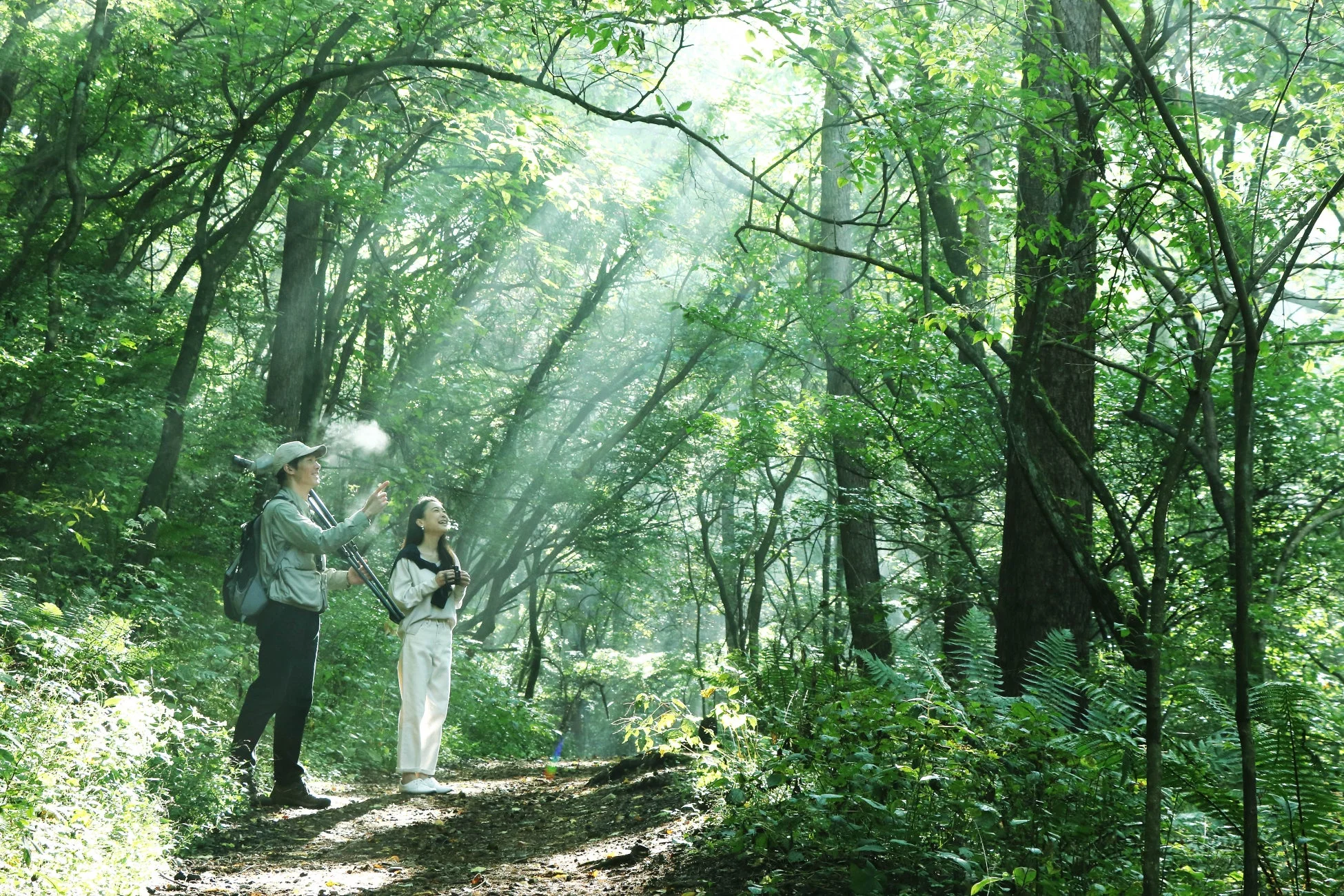 木漏れ日が差し込む緑豊かな森の中で、男女二人が自然を観察しています。男性は何かを指し示し、女性は双眼鏡を手に笑顔で空を見上げており、清々しい空気感が伝わる一枚です。