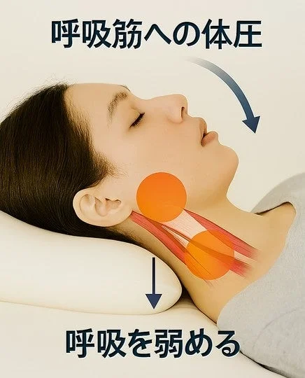 呼吸筋への体圧呼吸を弱める