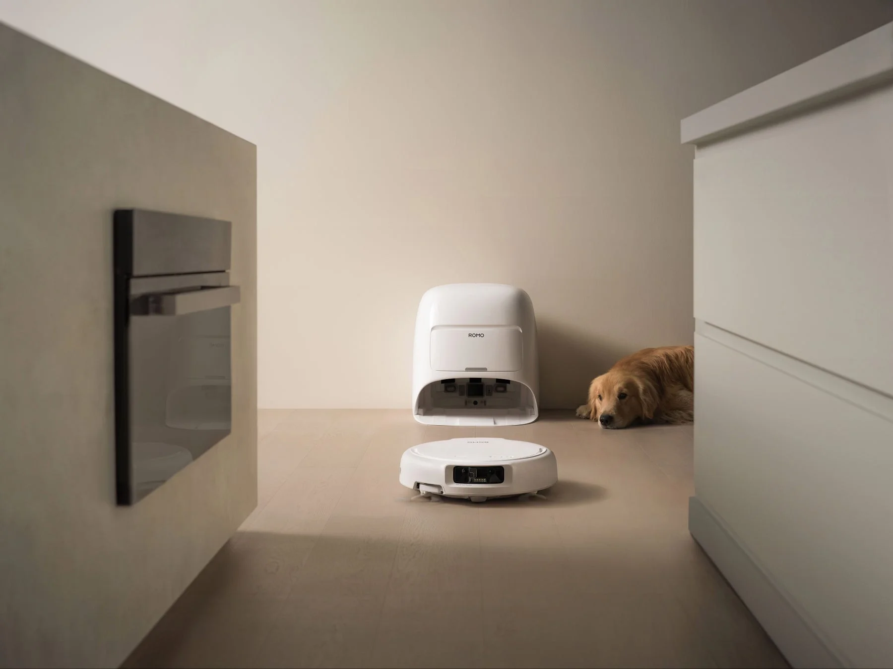 犬とROMO
