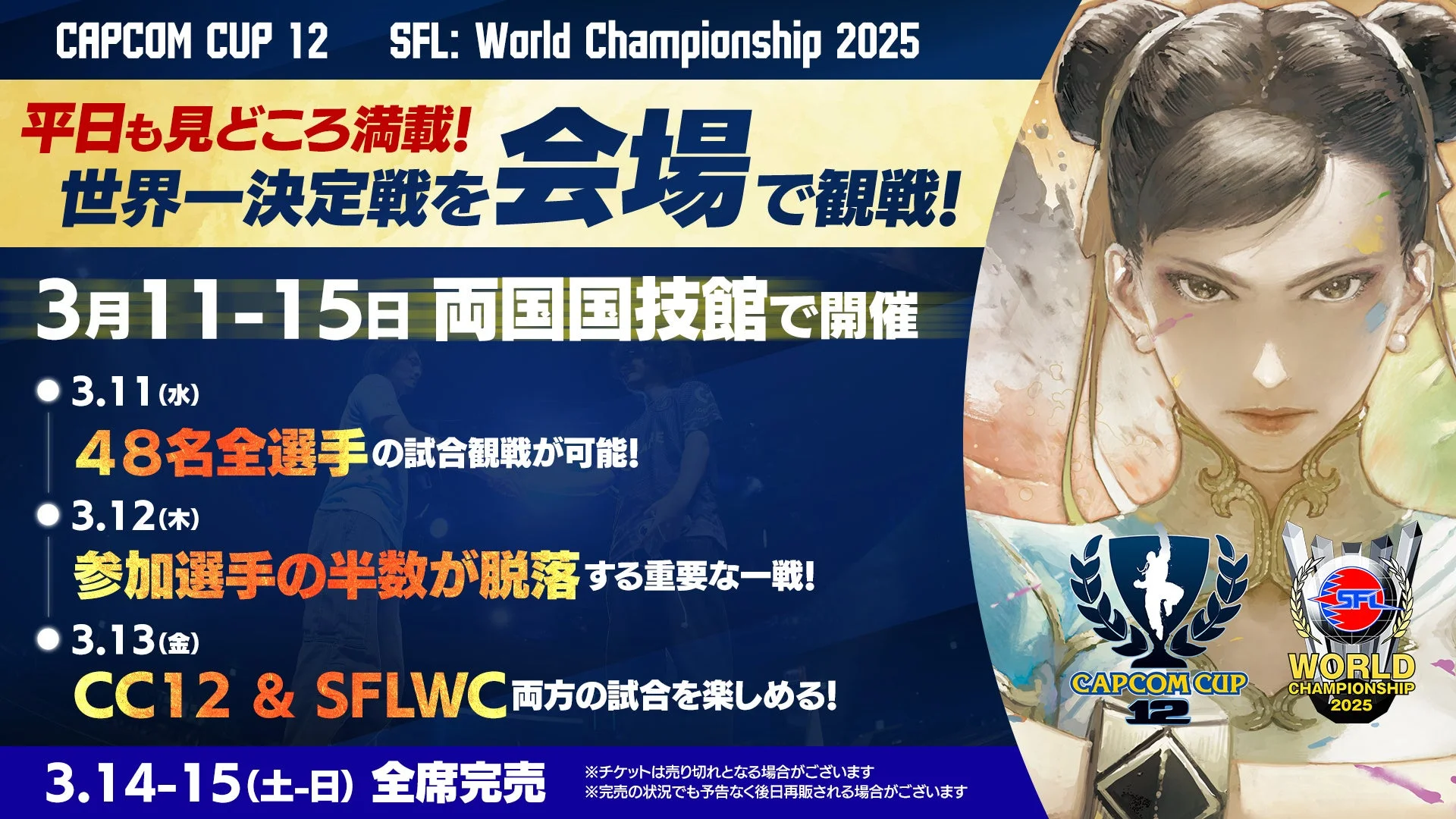 CAPCOM CUP 12 イベントポスター