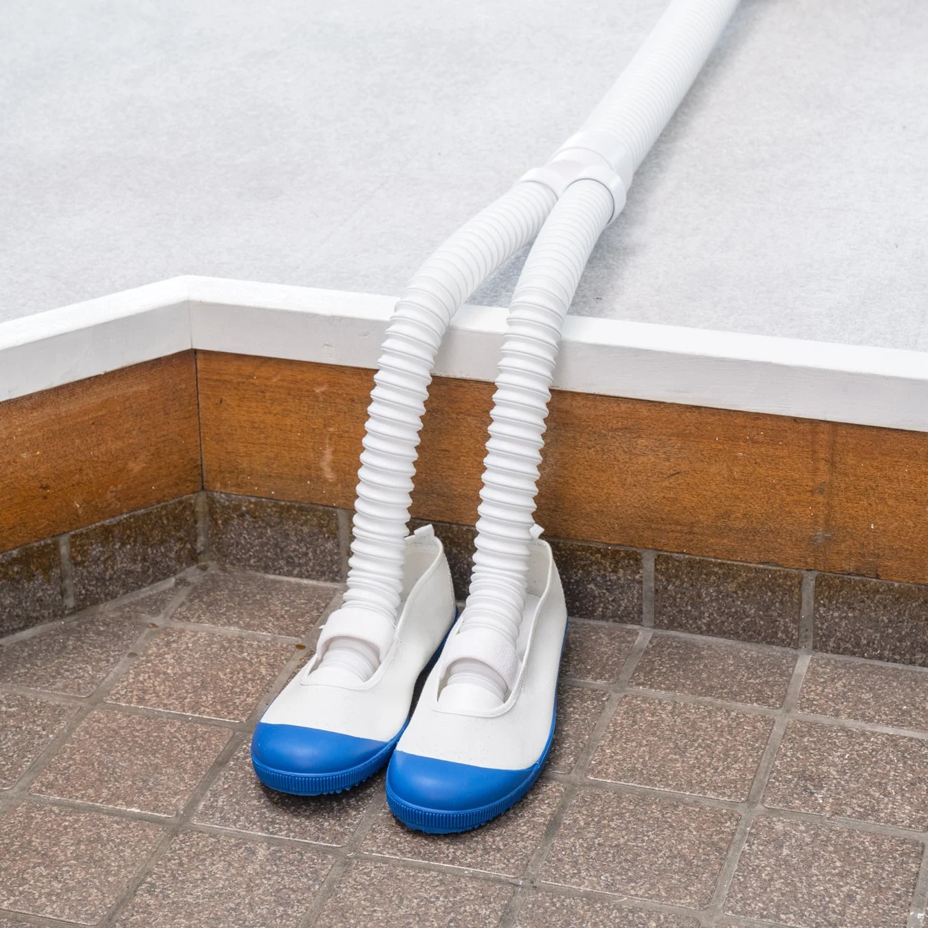 上履きを乾燥させている様子